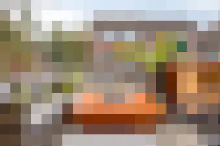 Hollandsch Diep 189 Zaandam thumbnail 8