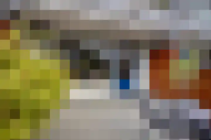 Hollandsch Diep 189 Zaandam thumbnail 9