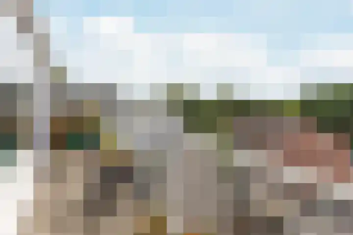 Hollandsch Diep 217 Zaandam thumbnail 23