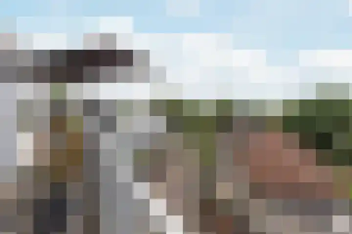 Hollandsch Diep 217 Zaandam thumbnail 24