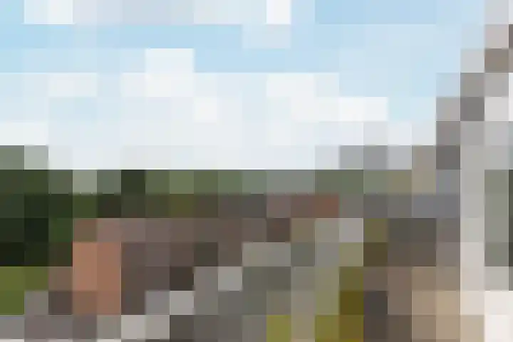 Hollandsch Diep 217 Zaandam thumbnail 25