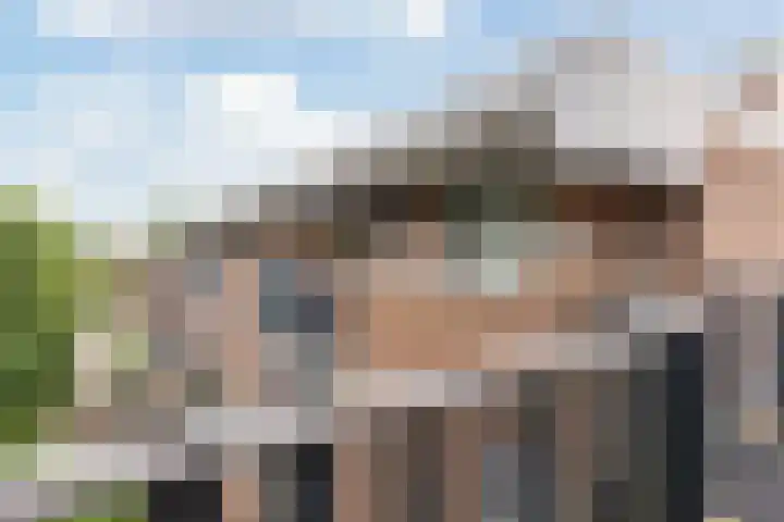 Hollandsch Diep 217 Zaandam thumbnail 28