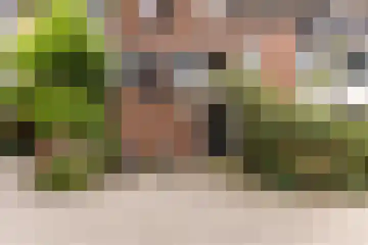 Hollandsch Diep 217 Zaandam thumbnail 29