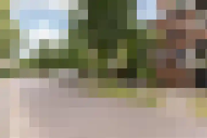 Hollandsch Diep 217 Zaandam thumbnail 30