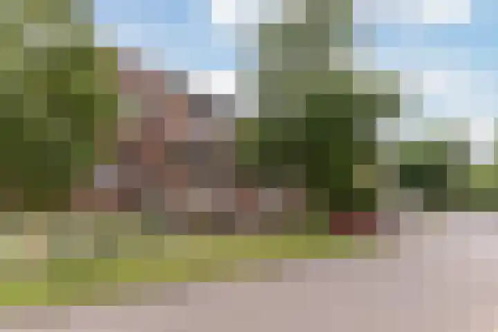 Hollandsch Diep 217 Zaandam thumbnail 33