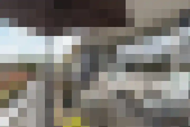 Hollandsch Diep 217 Zaandam thumbnail 4