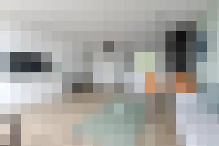 Hollandsch Diep 217 Zaandam thumbnail 5