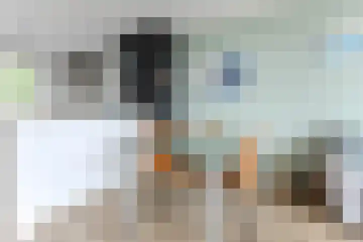 Hollandsch Diep 217 Zaandam thumbnail 6
