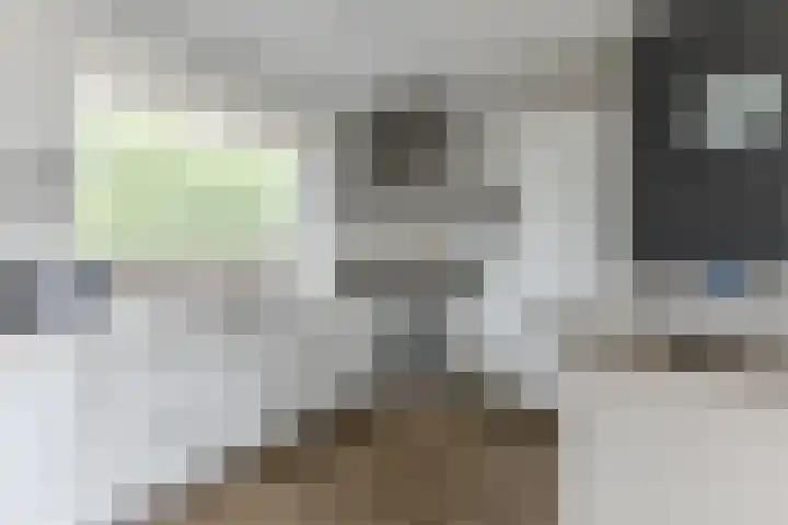 Hollandsch Diep 217 Zaandam thumbnail 8