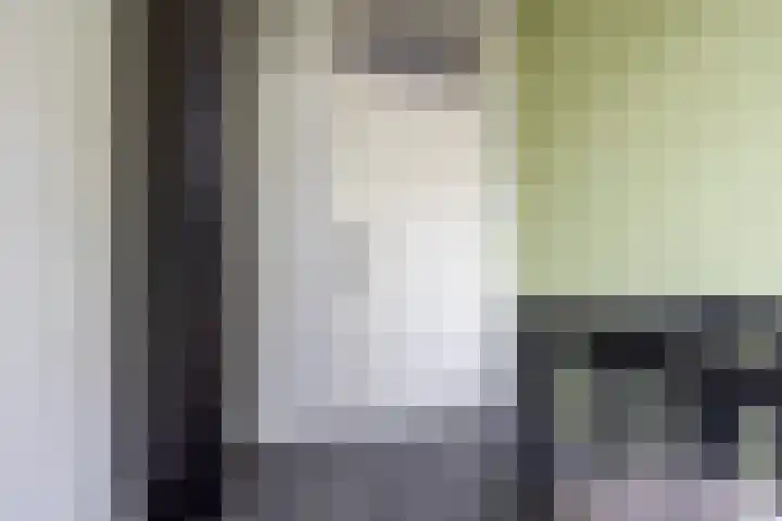 Hollandsch Diep 251 Zaandam thumbnail 16