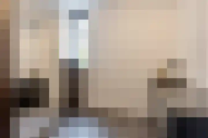 Hollandsch Diep 251 Zaandam thumbnail 17