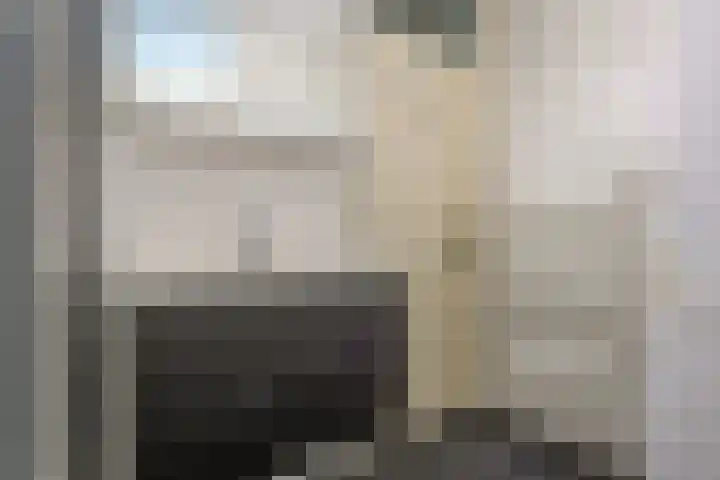 Hollandsch Diep 251 Zaandam thumbnail 20