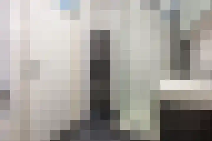 Hollandsch Diep 251 Zaandam thumbnail 21