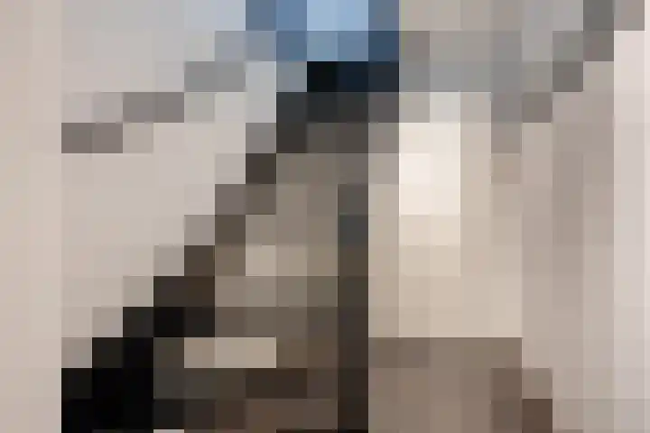 Hollandsch Diep 251 Zaandam thumbnail 26
