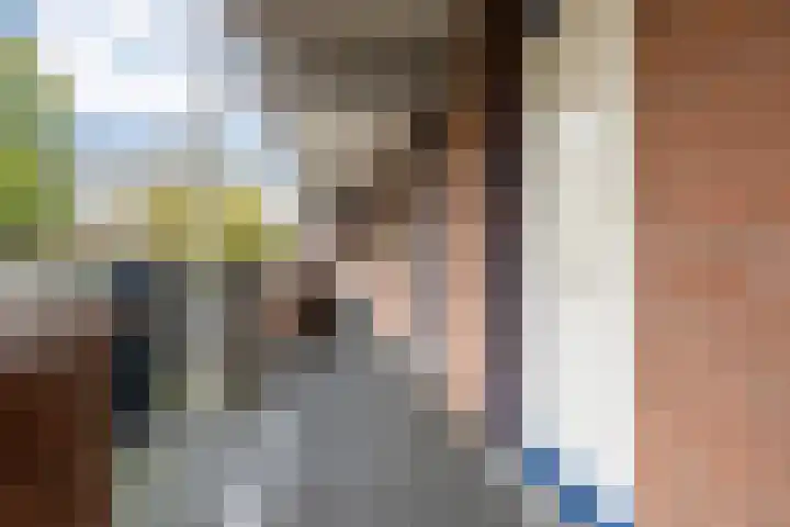 Hollandsch Diep 251 Zaandam thumbnail 27