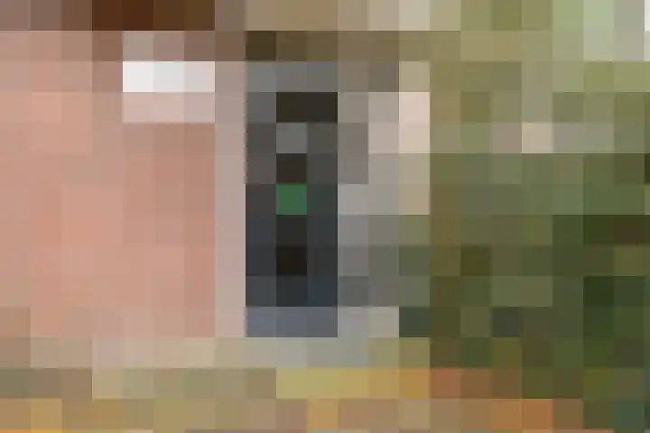 Hollandsch Diep 251 Zaandam thumbnail 30