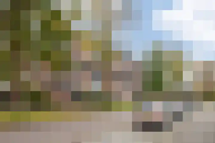 Hollandsch Diep 251 Zaandam thumbnail 31