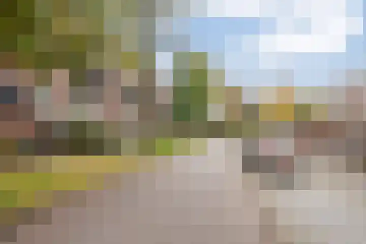 Hollandsch Diep 251 Zaandam thumbnail 32