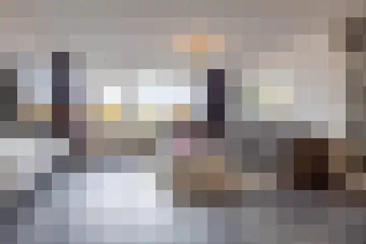 Hollandsch Diep 251 Zaandam thumbnail 4