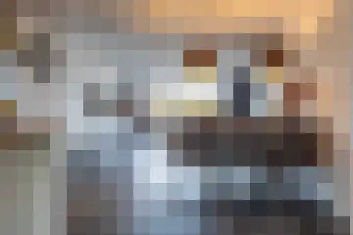 Hollandsch Diep 251 Zaandam thumbnail 7