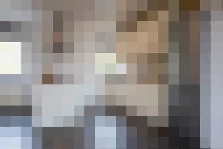 Hollandsch Diep 251 Zaandam thumbnail 8