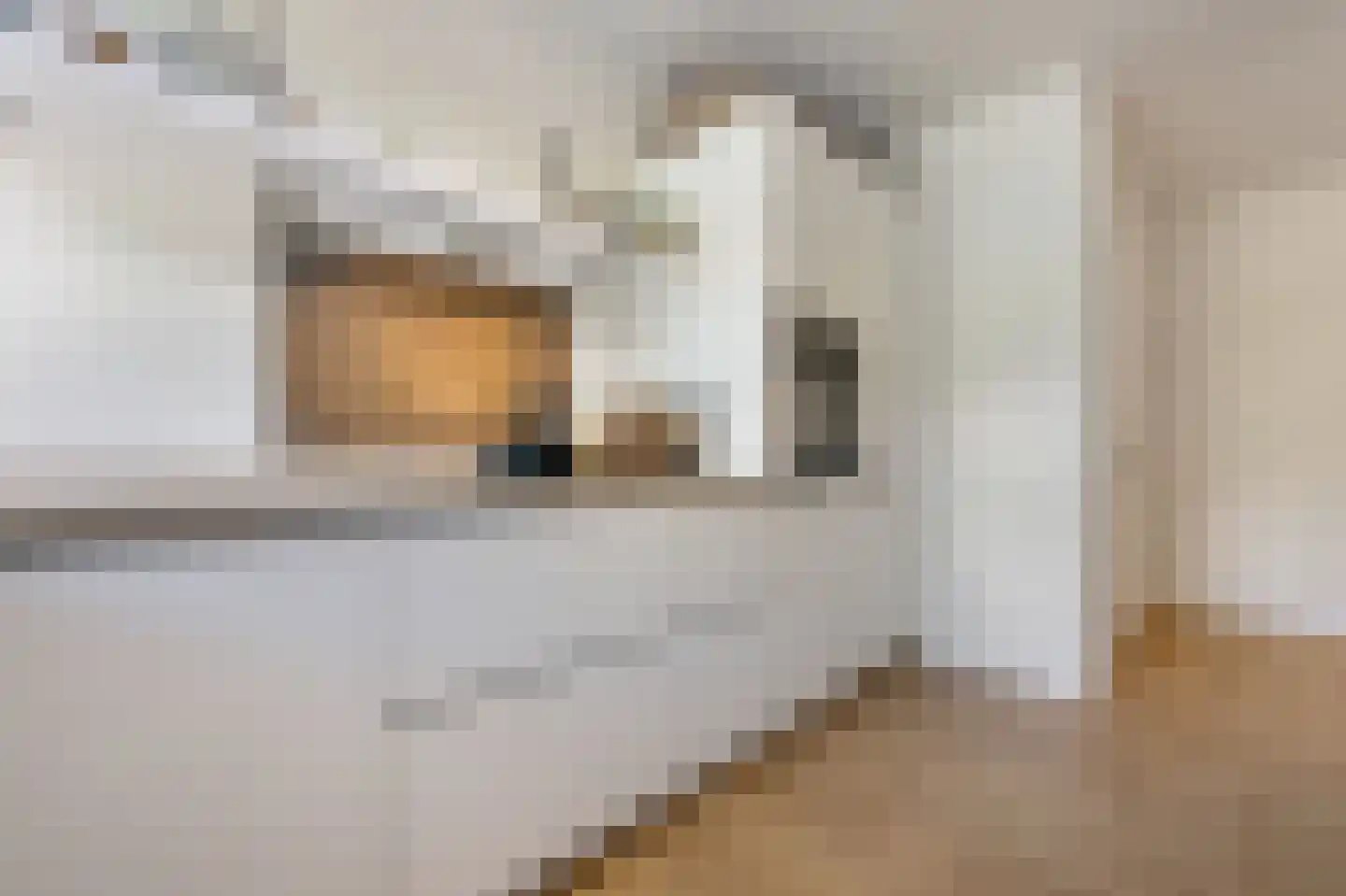 Hollandsch Diep 53 Zaandam thumbnail 13