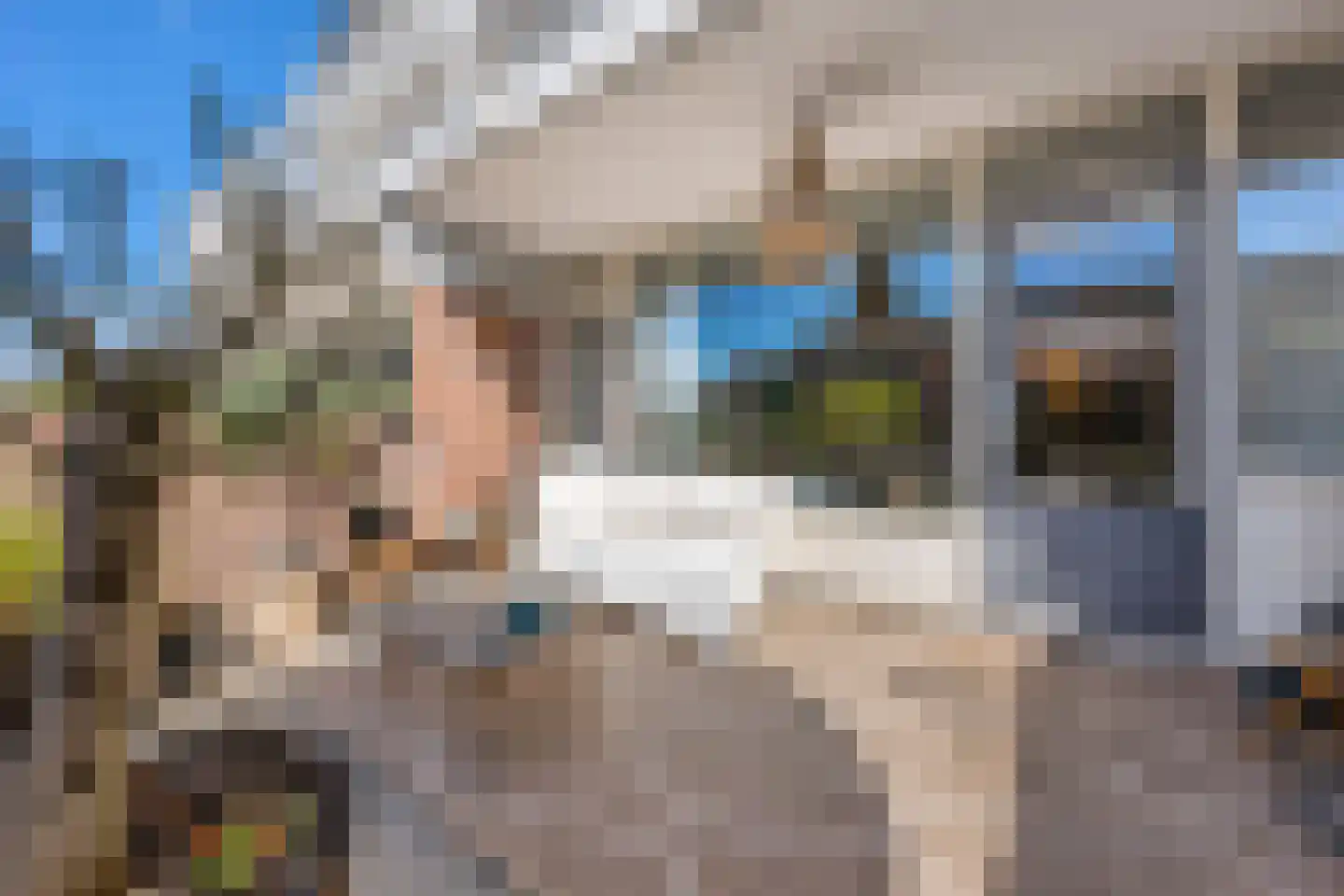 Hollandsch Diep 53 Zaandam thumbnail 16