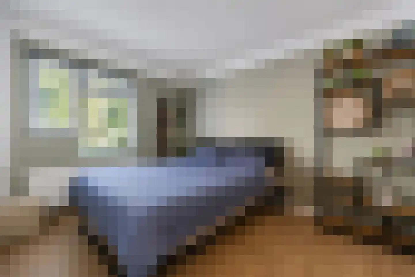 Hollandsch Diep 53 Zaandam thumbnail 21