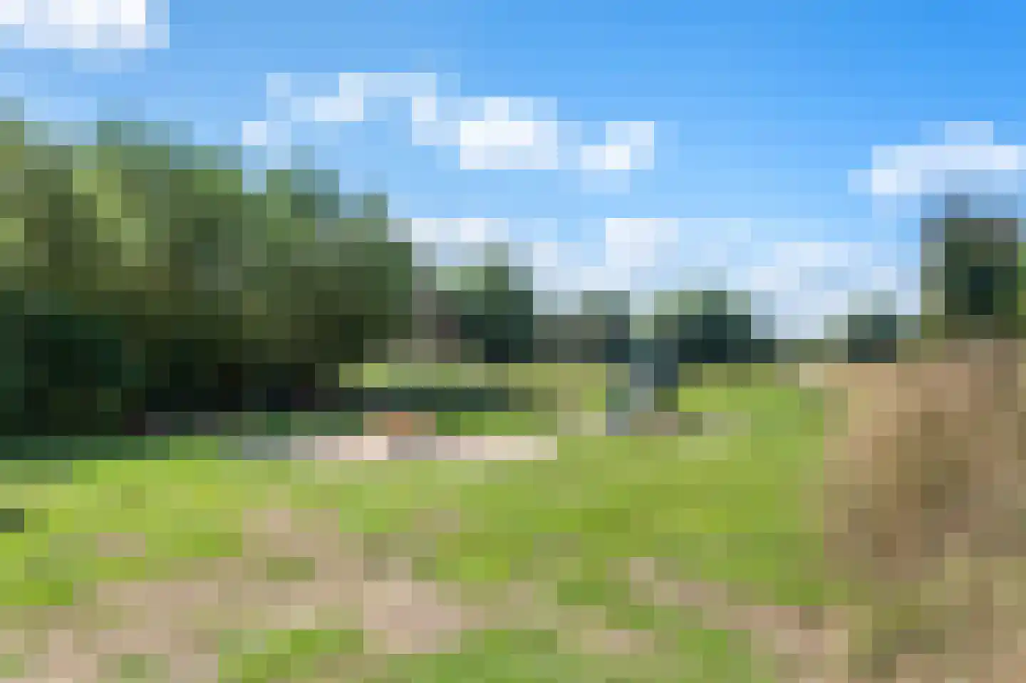 Hollandsch Diep 53 Zaandam thumbnail 30