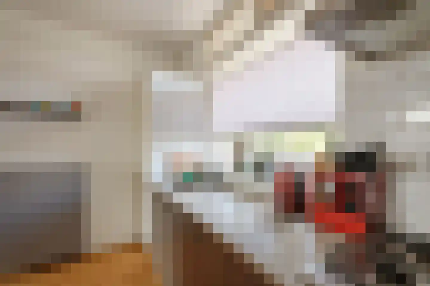 Hollandsch Diep 57 Zaandam thumbnail 12