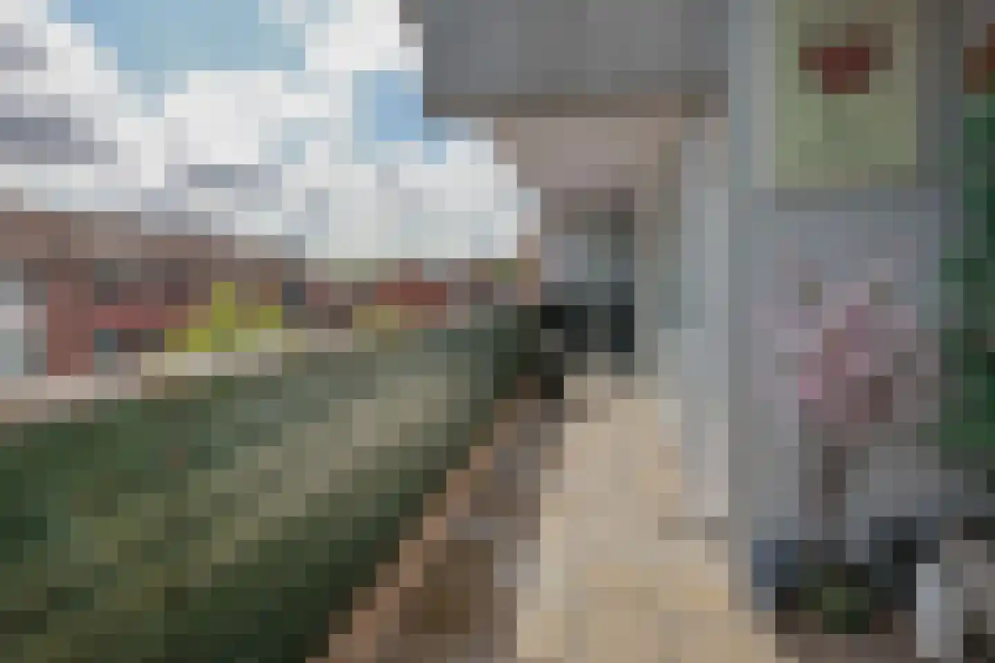 Hollandsch Diep 57 Zaandam thumbnail 20
