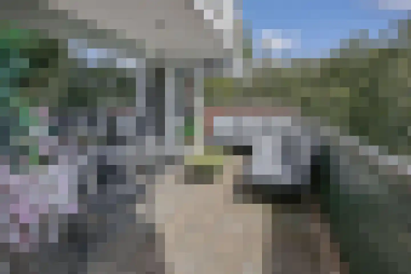 Hollandsch Diep 57 Zaandam thumbnail 21
