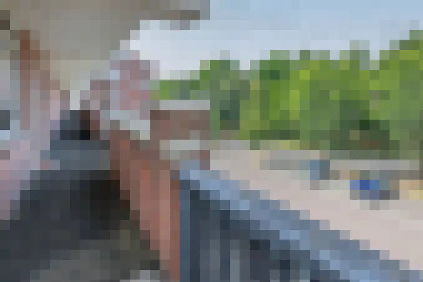Hollandsch Diep 57 Zaandam thumbnail 32