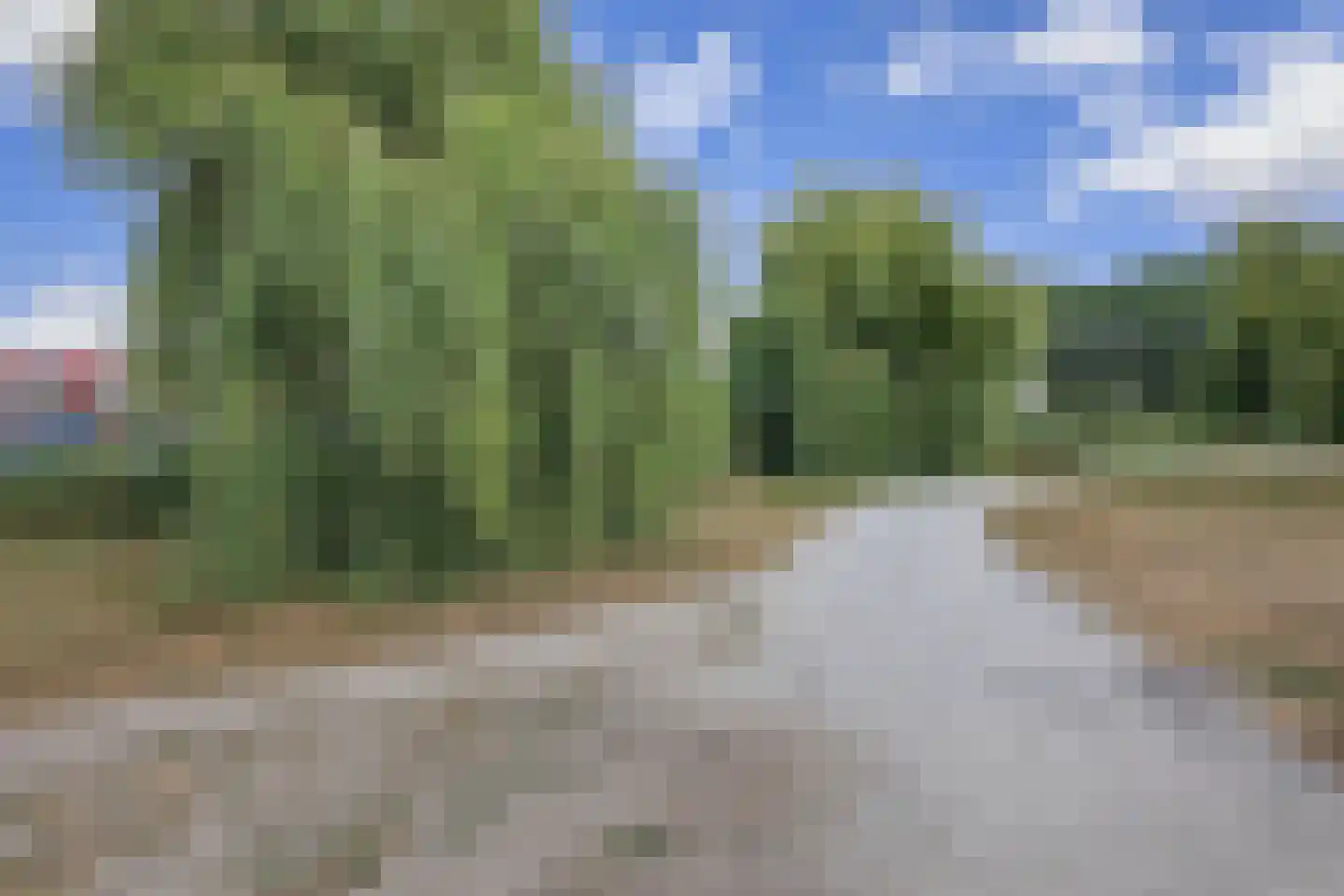 Hollandsch Diep 57 Zaandam thumbnail 38