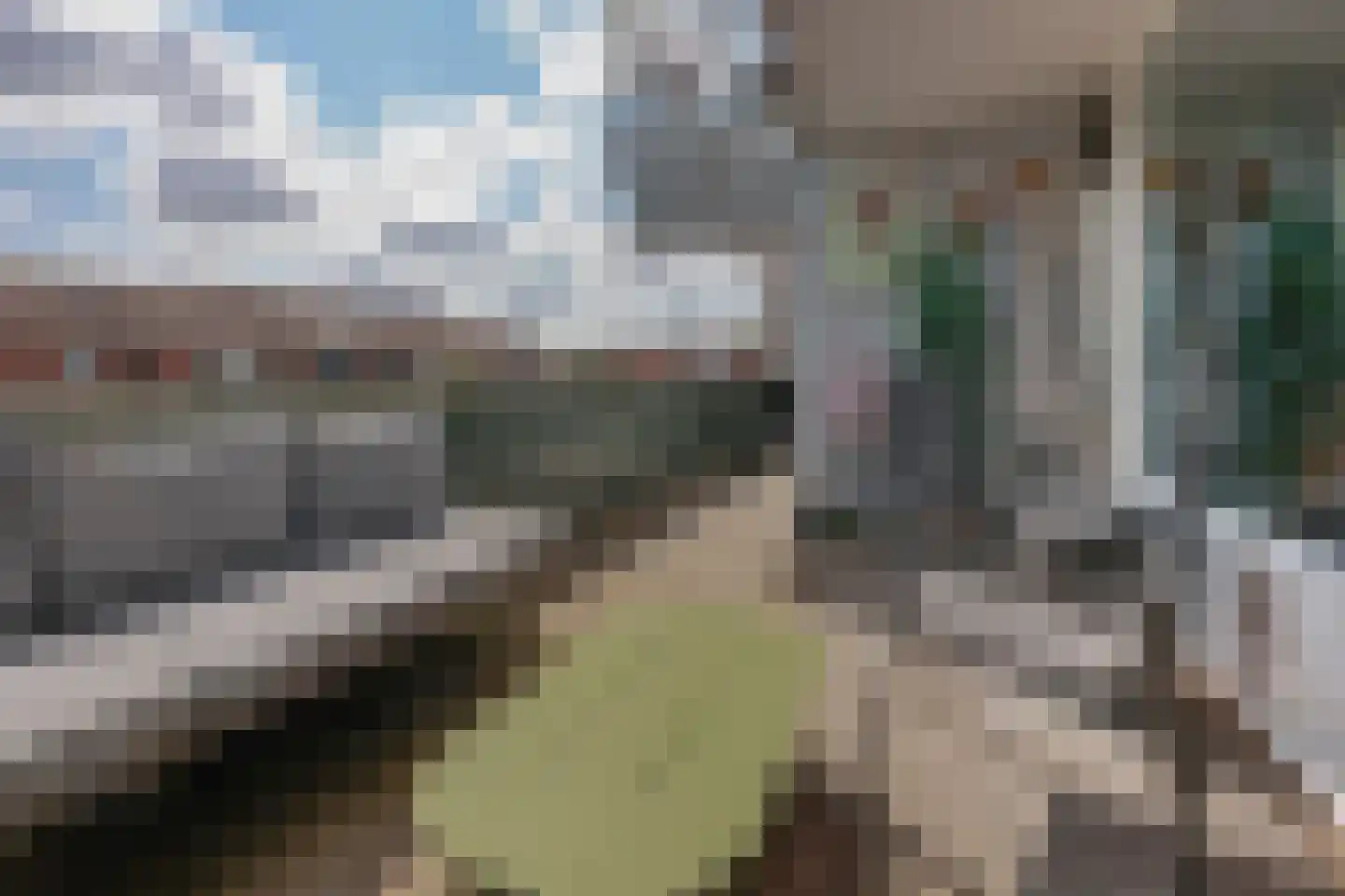 Hollandsch Diep 57 Zaandam thumbnail 4