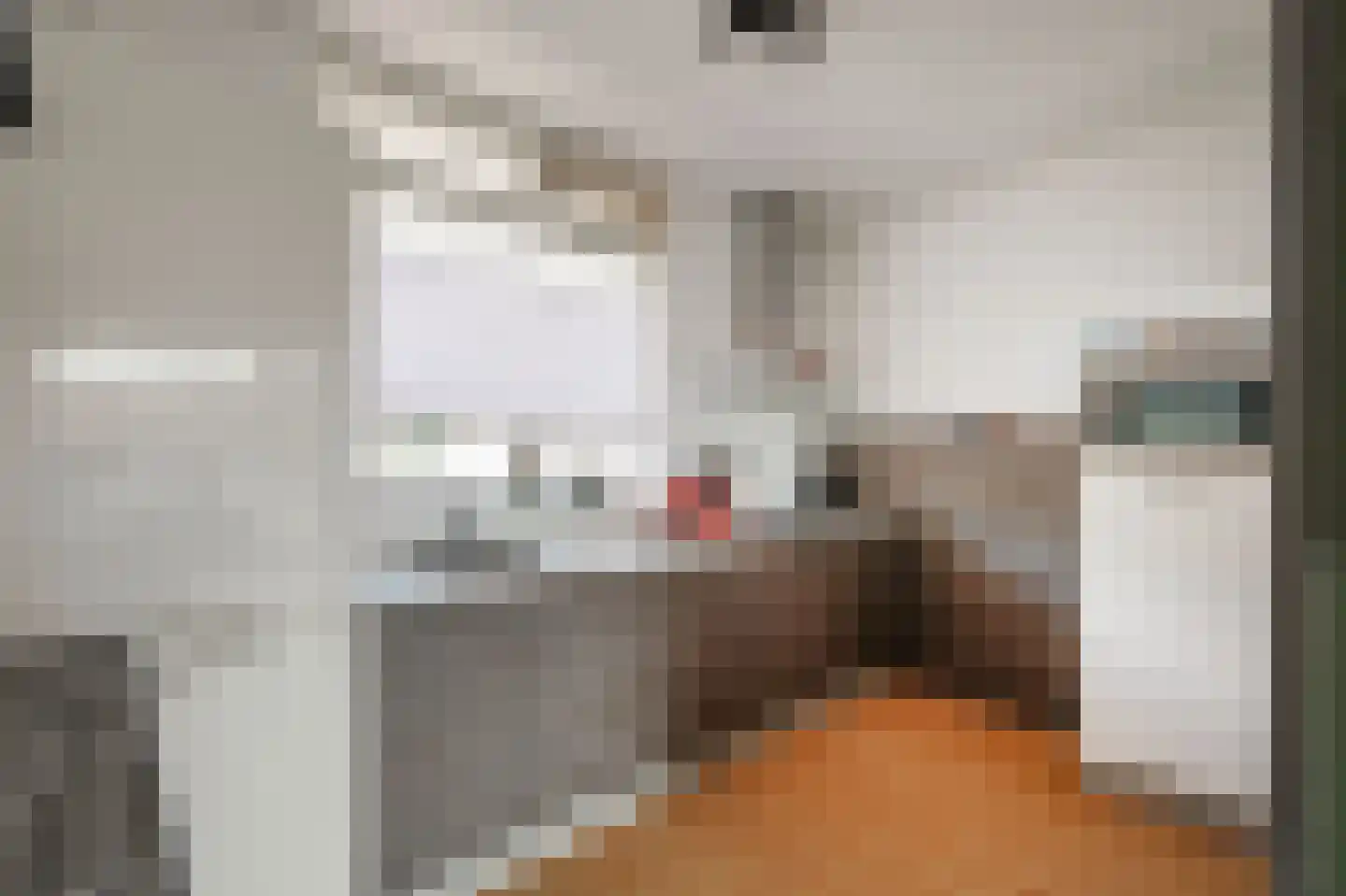 Hollandsch Diep 57 Zaandam thumbnail 7