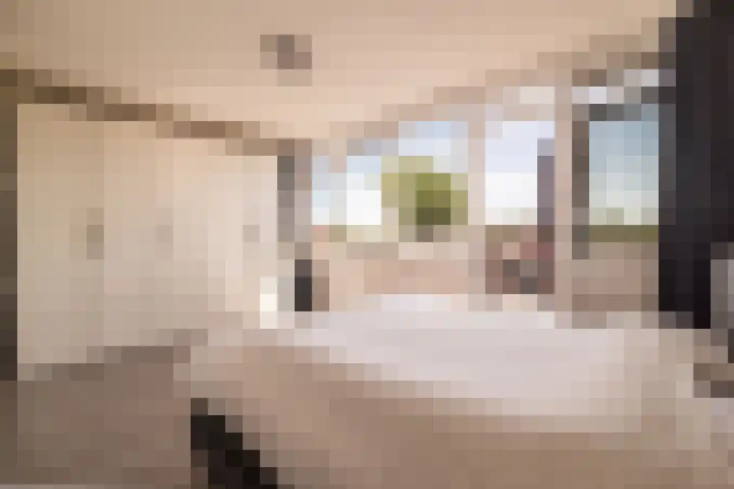 Hollandsch Diep 59 Zaandam thumbnail 13