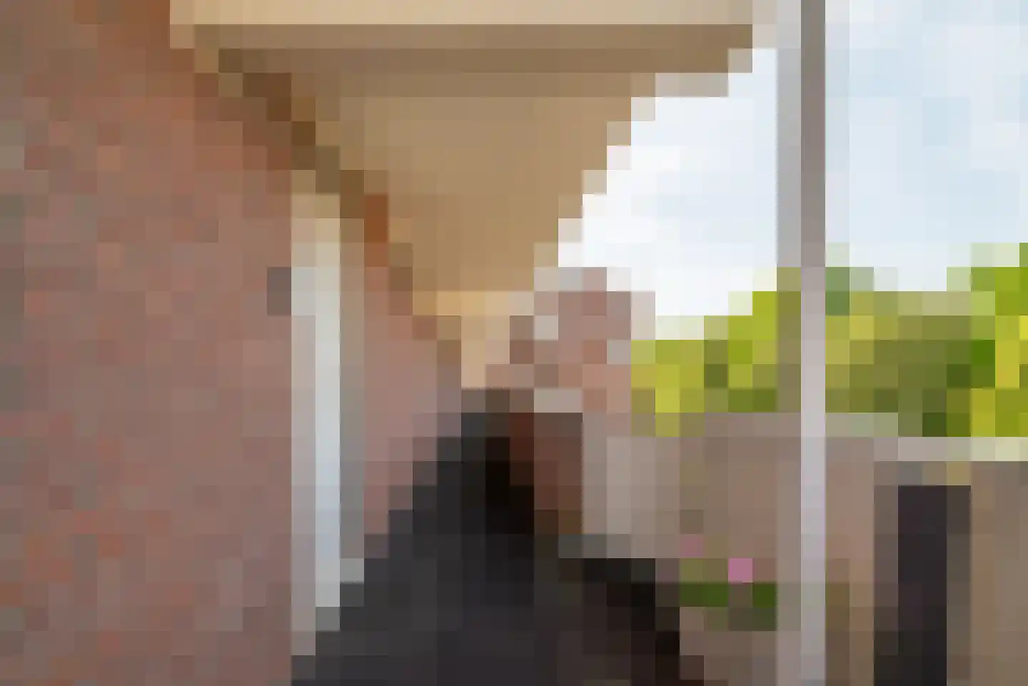 Hollandsch Diep 59 Zaandam thumbnail 25