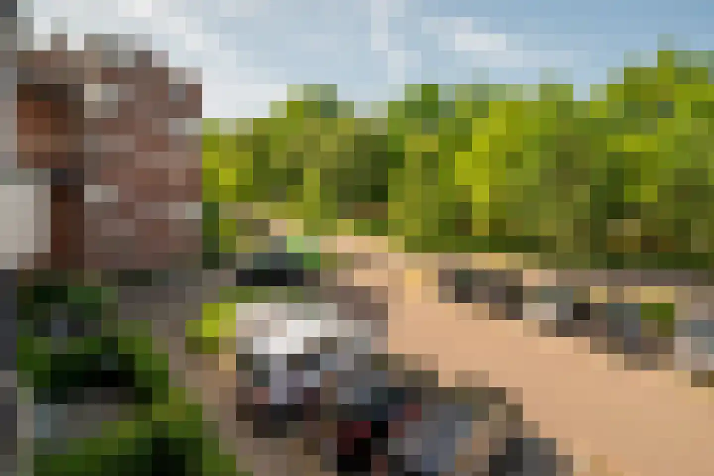 Hollandsch Diep 59 Zaandam thumbnail 26