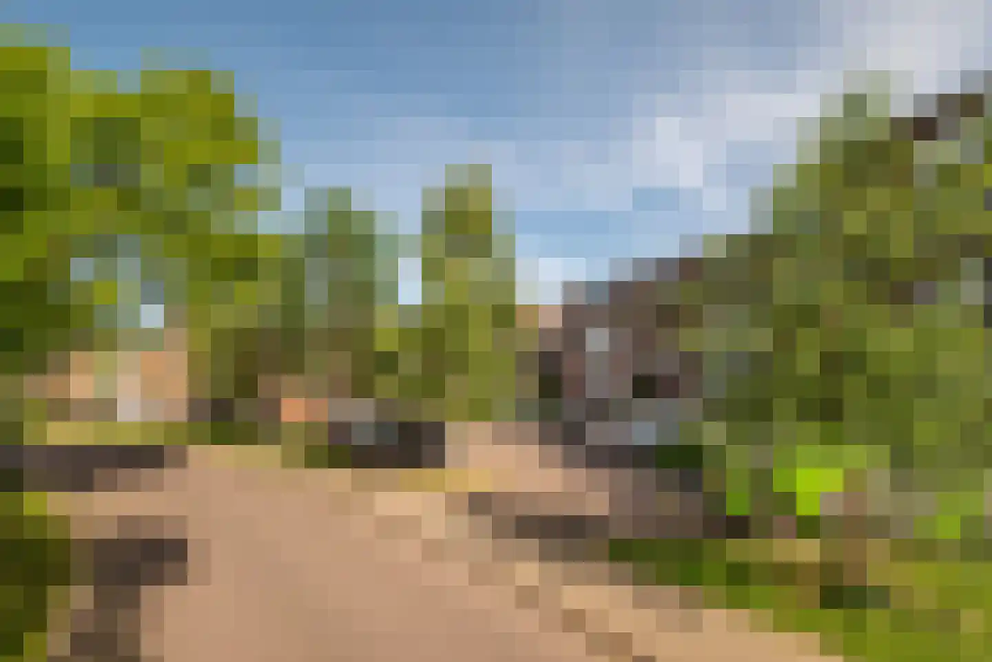 Hollandsch Diep 59 Zaandam thumbnail 30