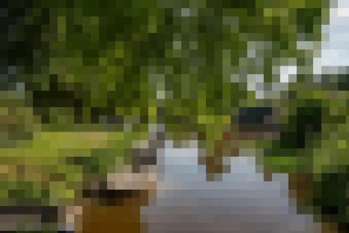 Hollandsch Diep 59 Zaandam thumbnail 34