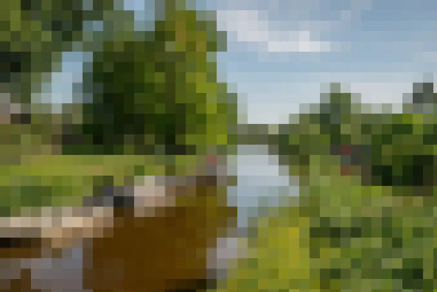 Hollandsch Diep 59 Zaandam thumbnail 35