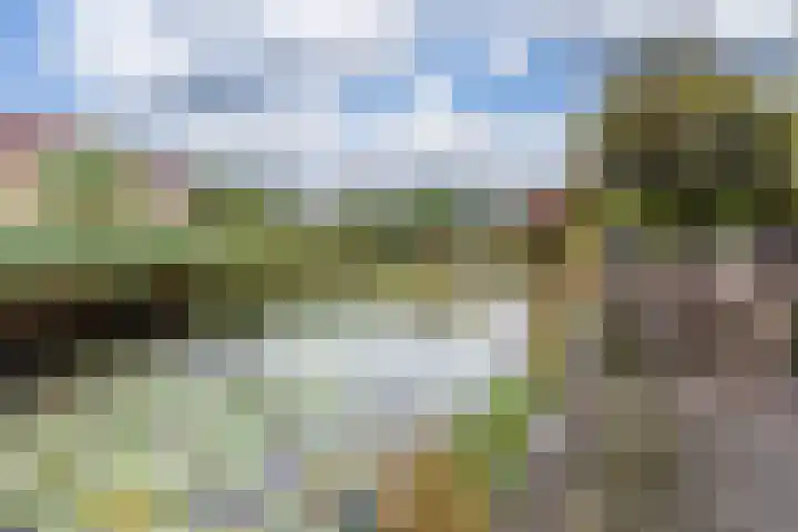 Hollandsche Tuyn 33 Delfgauw thumbnail 10
