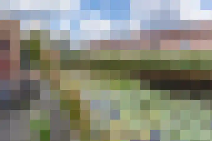 Hollandsche Tuyn 33 Delfgauw thumbnail 11