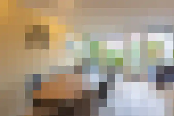 Hollandsche Tuyn 33 Delfgauw thumbnail 12