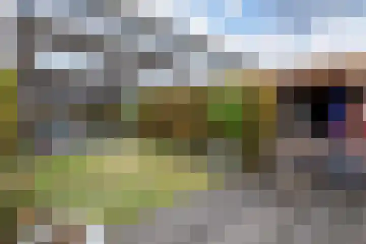Hollandsche Tuyn 33 Delfgauw thumbnail 13