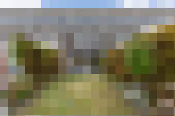 Hollandsche Tuyn 33 Delfgauw thumbnail 14