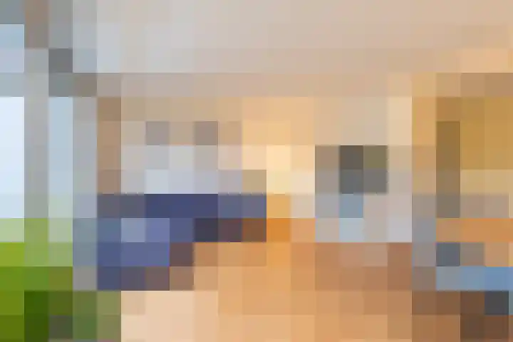Hollandsche Tuyn 33 Delfgauw thumbnail 16