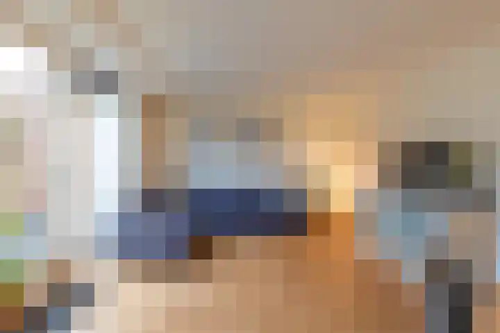 Hollandsche Tuyn 33 Delfgauw thumbnail 17