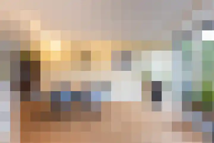 Hollandsche Tuyn 33 Delfgauw thumbnail 18